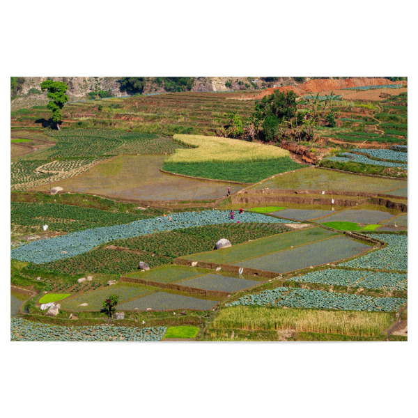 Poster "Landwirtschaft in Nepal" artboxONE - Natur,Reise / Asien - Nepal,Landwirtschaft,Landschaft,Natur,Felder,Himalaya