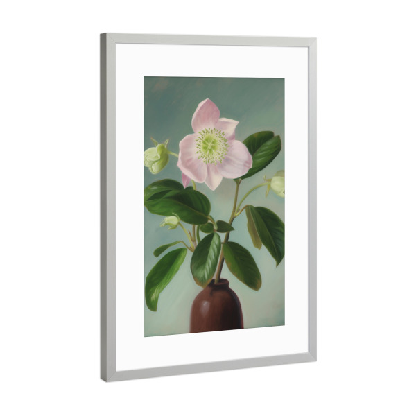 Poster mit Rahmen Silber "Zarte Pfingstrose" artboxONE - Natur,Floral