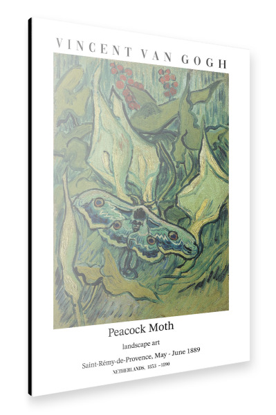 Alu-Dibond "Van Gogh - Nachtpfauenauge" 30x20 cm artboxONE