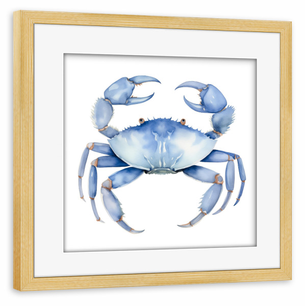 Poster mit Rahmen kiefer "Blauer Krebs-Schalentier" artboxONE - Tiere,Abstrakt,Reise / Strand und Meer