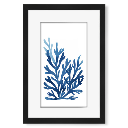 Blauer Korallenriff
