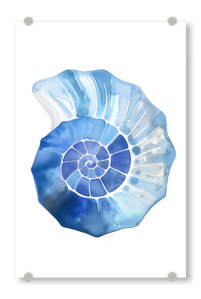 Acrylglasbild "Blauer Nautilus" artboxONE - Natur,Reise / Strand und Meer,Unterwasser