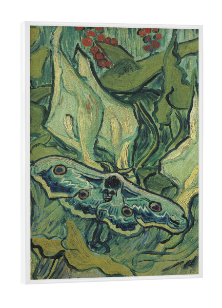 Poster mit weißem Rahmen "Vincent van Gogh - Kaisermotte" artboxONE - Natur,Tiere,Abstrakt