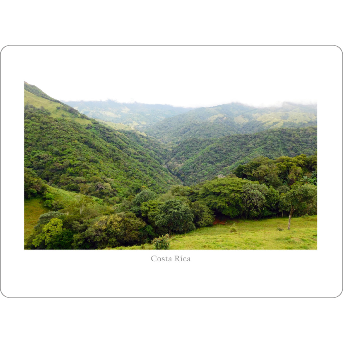 Tischset "Dschungel (Costa Rica)" artboxONE - Natur,Reise,Floral,Reise / Länder