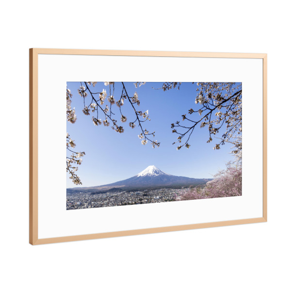 Poster mit Rahmen Kupfer "Imposanter Fuji bei Kirschblüte" artboxONE - Natur,Reise / Asien