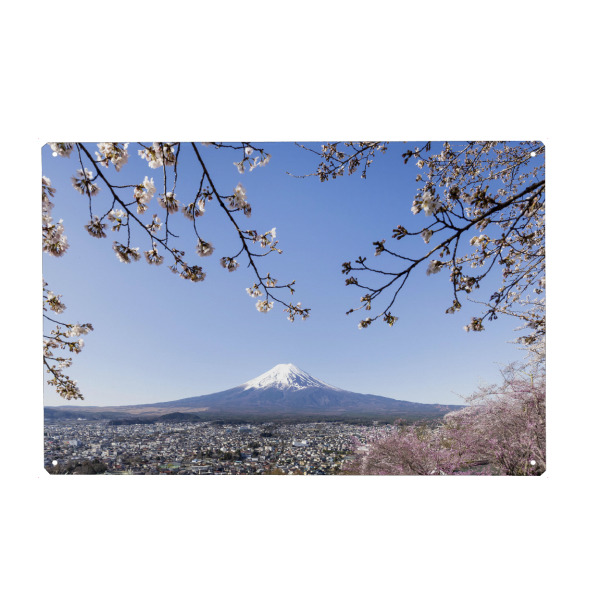 Metall Poster "Imposanter Fuji bei Kirschblüte" artboxONE - Natur,Reise / Asien