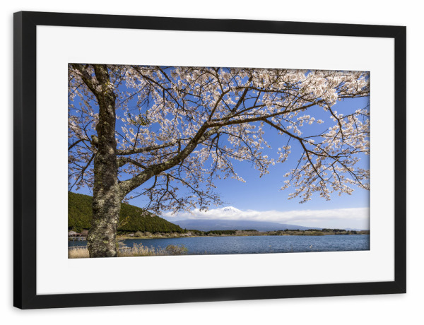 Poster mit Rahmen schwarz "Malerischer Tanuki-See mit Fuji" artboxONE - Natur,Reise / Asien