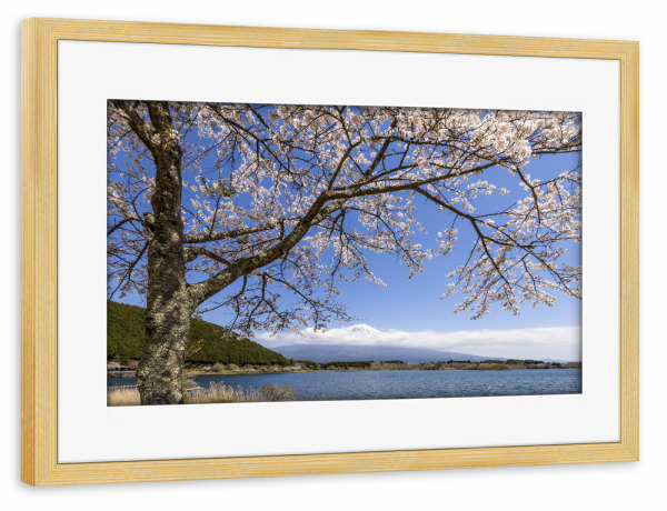 Poster mit Rahmen kiefer "Malerischer Tanuki-See mit Fuji" artboxONE - Natur,Reise / Asien