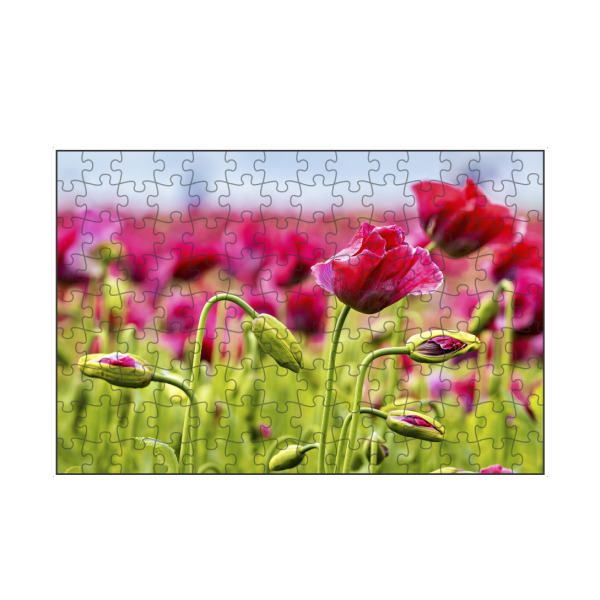 artboxONE Puzzle "Rosa Mohnblüten" artboxONE - Natur,Floral - Mohn,Schlafmohn,Mohnblüte,Blume,Blüte,Mohnblume - Bild mohn