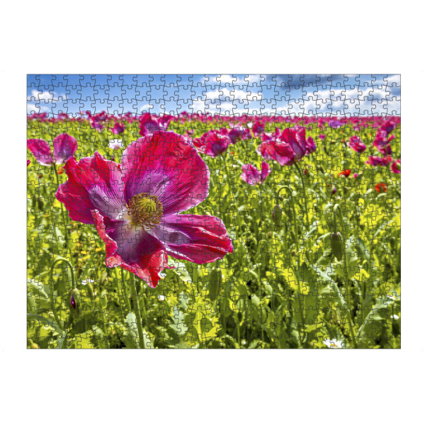 artboxONE Puzzle "Blühender Schlafmohn" artboxONE - Natur,Floral - Mohn,Schlafmohn,Mohnblüte,Blume,Blüte,Mohnblume - Bild mohn