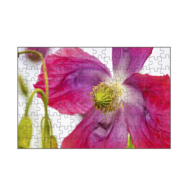artboxONE Puzzle "Eine Rosa Mohnblüte" artboxONE - Natur,Floral - Mohn,Schlafmohn,Mohnblüte,Blume,Blüte,Mohnblume - Bild mohn