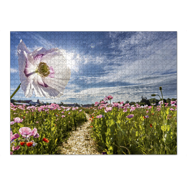 Puzzle Ravensburger "Weiße Mohnblüte" artboxONE - Natur,Floral - Mohn,Schlafmohn,Mohnblüte,Blume,Blüte,Mohnblume - Bild mohn