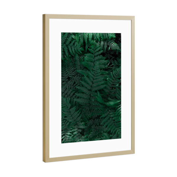 Poster mit Rahmen Gold "Farn Liebe" artboxONE - Natur,Floral - Farn,Pflanzen,Grün,Green,Natur,Floral,Fern