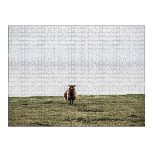 Puzzle Ravensburger "Einsames Schaf" artboxONE - Natur,Reise,Tiere