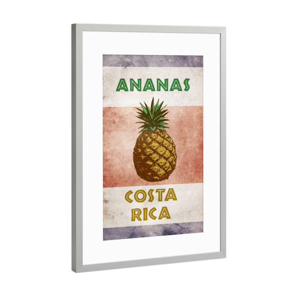 Poster mit Rahmen Silber "Ananas Costa Rica" artboxONE - Reise,Essen & Trinken,Reise / Länder,Essen & Trinken / Obst & Gemüse