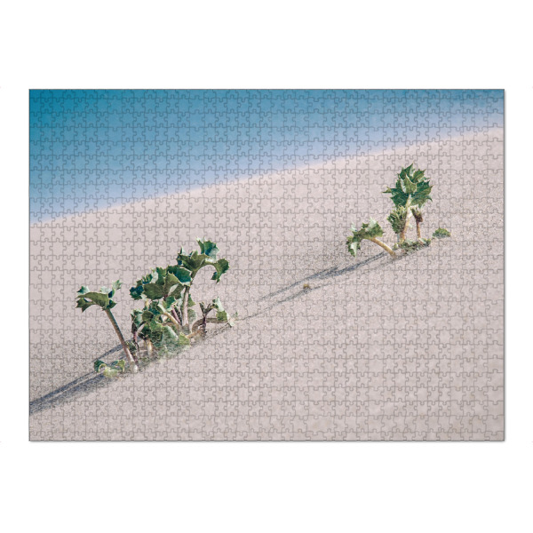 Puzzle Ravensburger "Dünen Pflanze" artboxONE - Natur,Floral,Reise / Strand und Meer