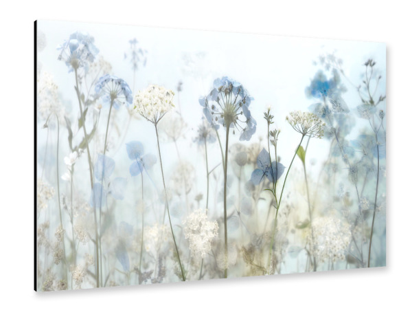 Alu-Dibond "Flüstern am frühen Morgen" 30x20 cm artboxONE