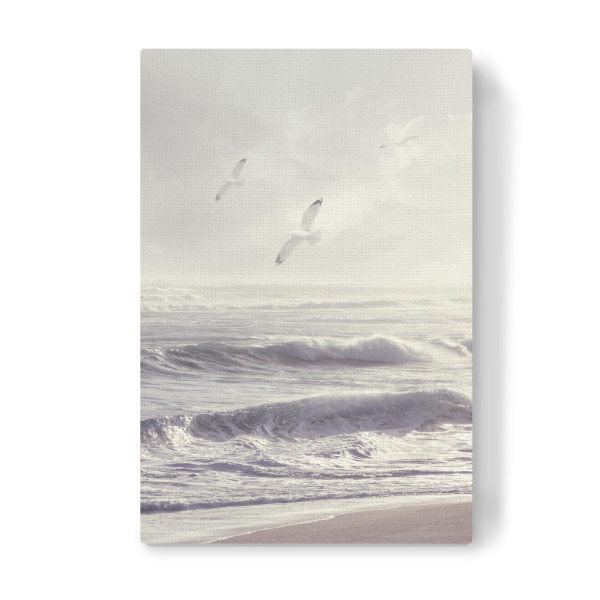 Leinwandbild "Den Wind einfangen" artboxONE - Tiere,Reise / Strand und Meer - Vögel,Strand,Küste,Küste,Meer