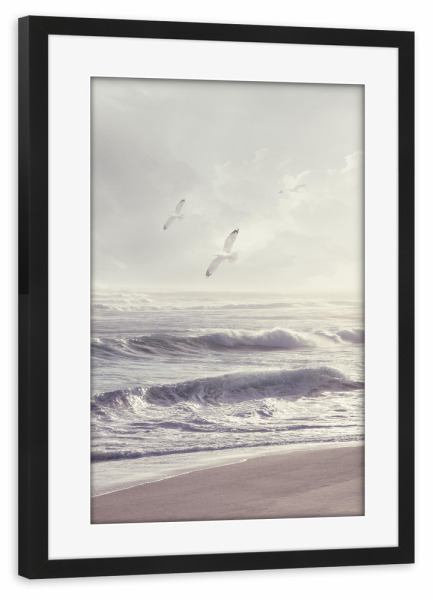 Poster mit Rahmen schwarz "Den Wind einfangen" artboxONE - Tiere,Reise / Strand und Meer - Vögel,Strand,Küste,Küste,Meer
