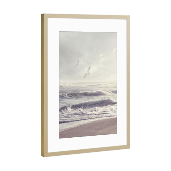 Poster mit Rahmen Gold "Den Wind einfangen" artboxONE - Tiere,Reise / Strand und Meer - Vögel,Strand,Küste,Küste,Meer