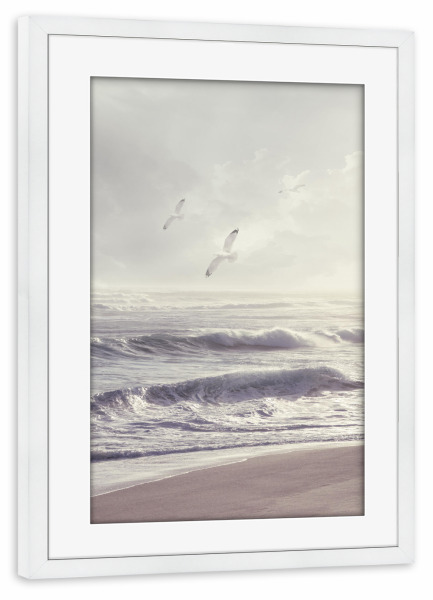Poster mit Rahmen weiß "Den Wind einfangen" artboxONE - Tiere,Reise / Strand und Meer - Vögel,Strand,Küste,Küste,Meer