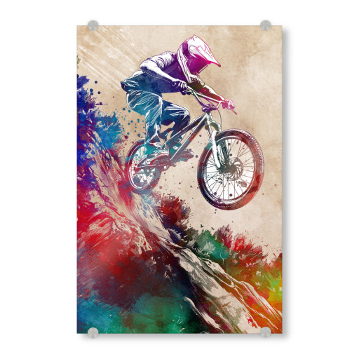 BMX Biker Sport Art H