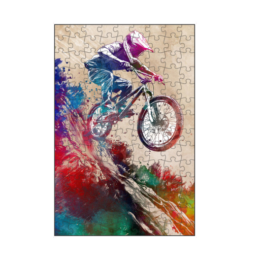 BMX Biker Sport Art H