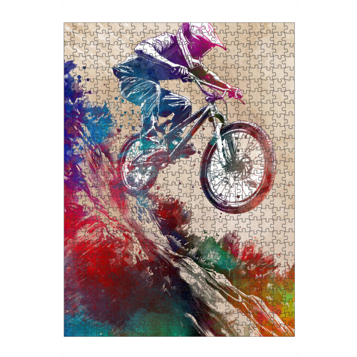 BMX biker sport art H