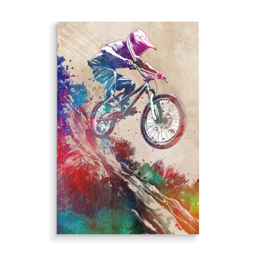 BMX Biker Sport Art H