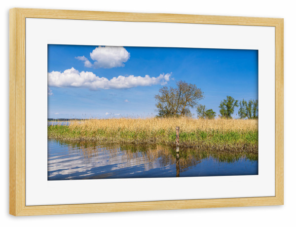 Poster mit Rahmen kiefer "Landschaft am Achterwasser" artboxONE - Natur,Reise,Reise / Strand und Meer