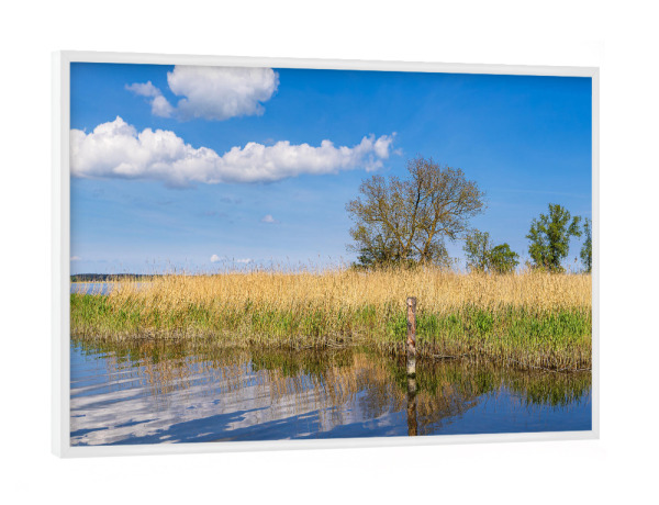 Poster mit weißem Rahmen "Landschaft am Achterwasser" artboxONE - Natur,Reise,Reise / Strand und Meer