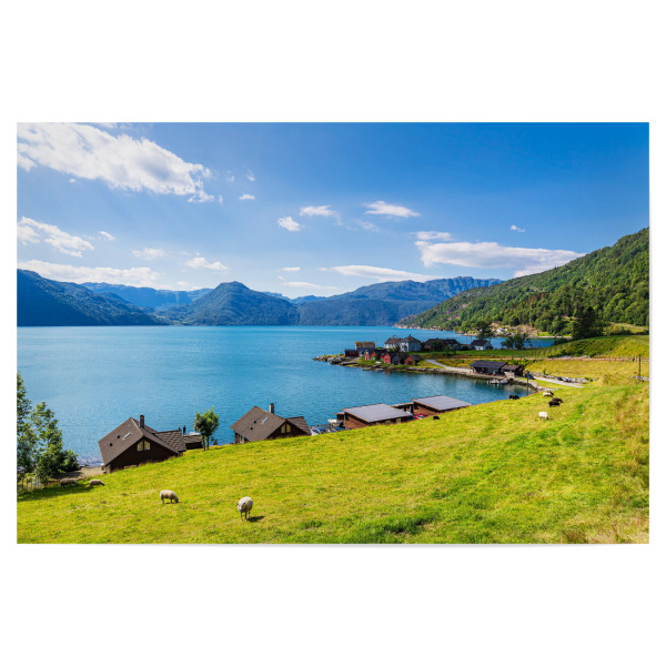 Poster 30x20 cm "Åkrafjord mit Schafe" artboxONE - Natur,Reise,Reise / Strand und Meer,Reise / Länder