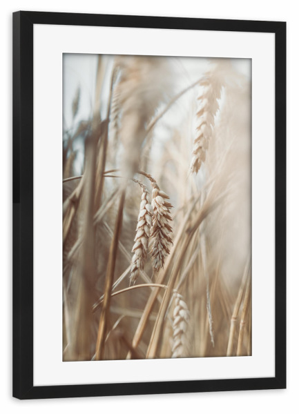 Poster mit Rahmen schwarz "Natur Gräser Boho" artboxONE - Natur,Floral