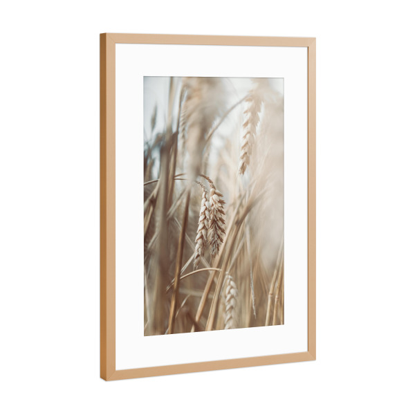 Poster mit Rahmen Kupfer "Natur Gräser Boho" artboxONE - Natur,Floral