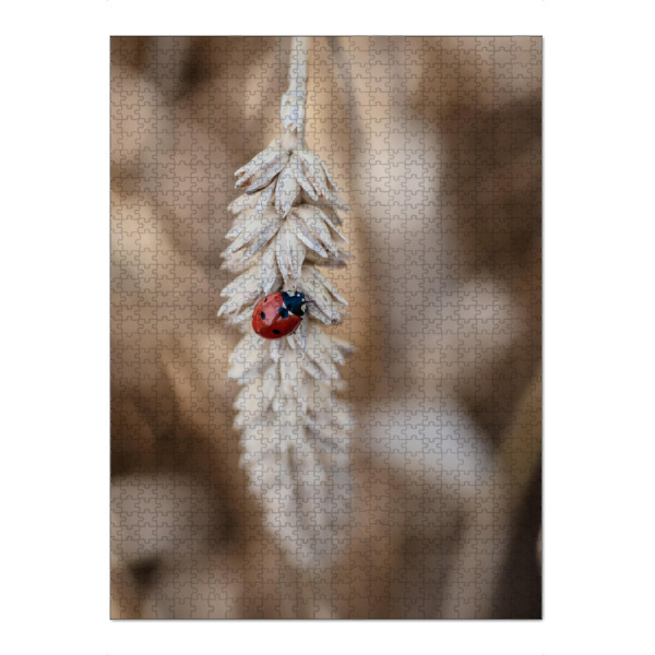 Puzzle Ravensburger "Marienkäfer im Kornfeld" artboxONE - Natur,Floral,Tiere