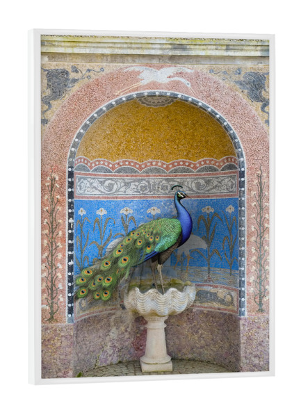 Poster mit weißem Rahmen "Palastpfau" artboxONE - Natur,Tiere - Pfau,Vogel,Rosa,Architektur