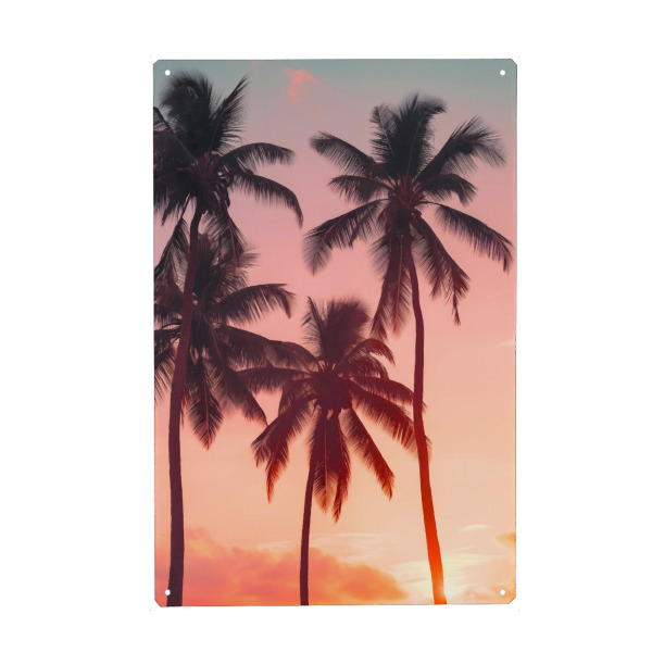Metall Poster "Palmen bei Sonnenuntergang" artboxONE - Natur,Reise,Reise / Strand und Meer