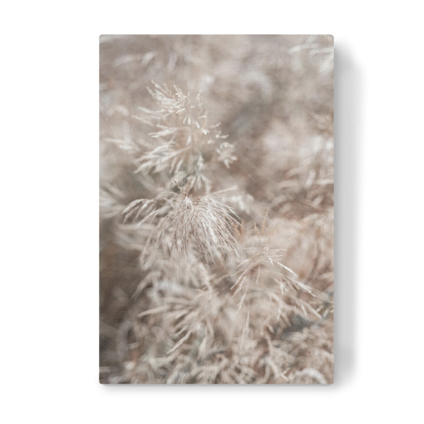 Leinwandbild "Zarte Wild Gräser" artboxONE - Natur,Floral