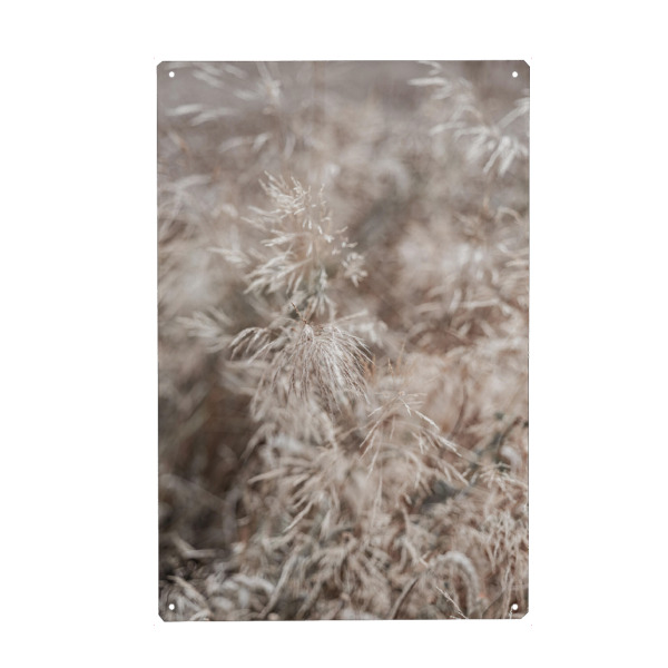 Holzbild "Zarte Wild Gräser" artboxONE - Natur,Floral