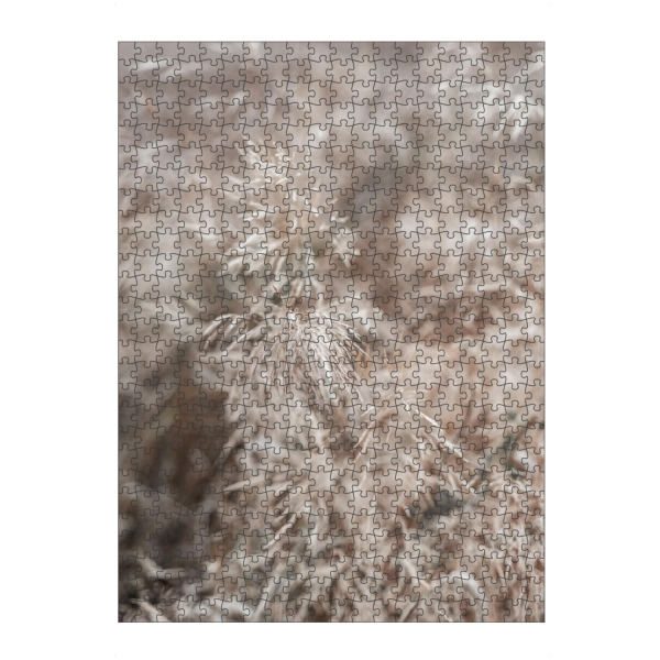 Puzzle Ravensburger "Zarte Wild Gräser" artboxONE - Natur,Floral