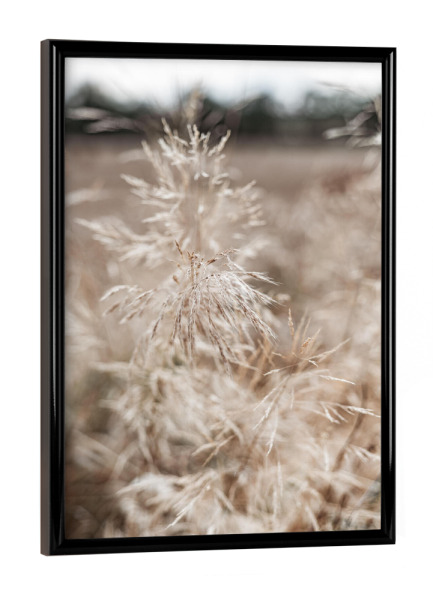 Poster mit schwarzem Rahmen "Softe Natur Gräser" artboxONE - Natur,Floral