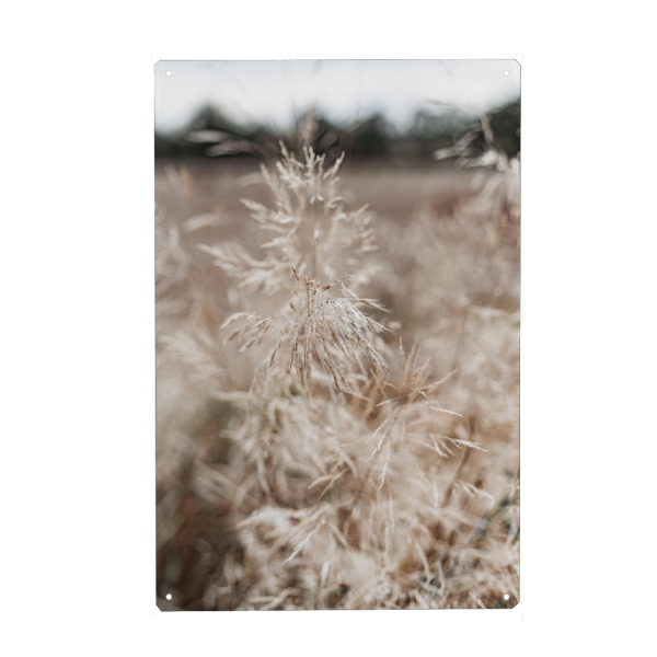 Holzbild "Softe Natur Gräser" artboxONE - Natur,Floral