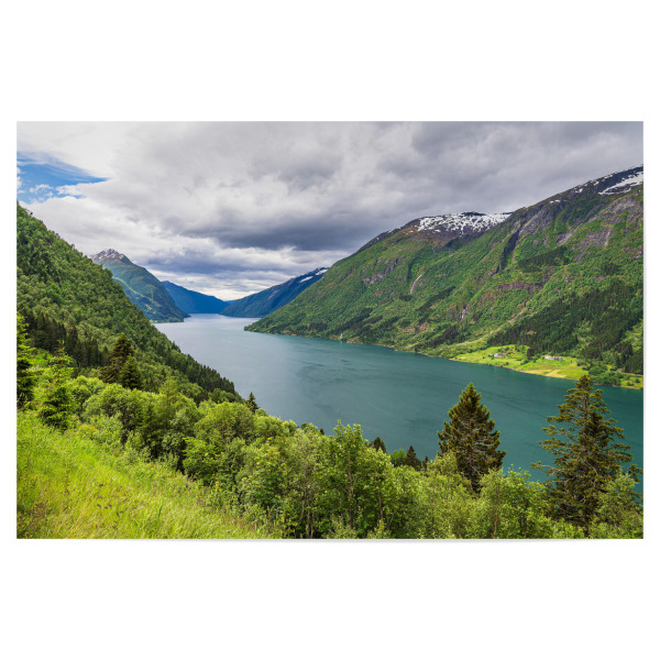 Poster "Bäume am Fjærlandfsjord" artboxONE - Natur,Reise,Reise / Strand und Meer,Reise / Länder