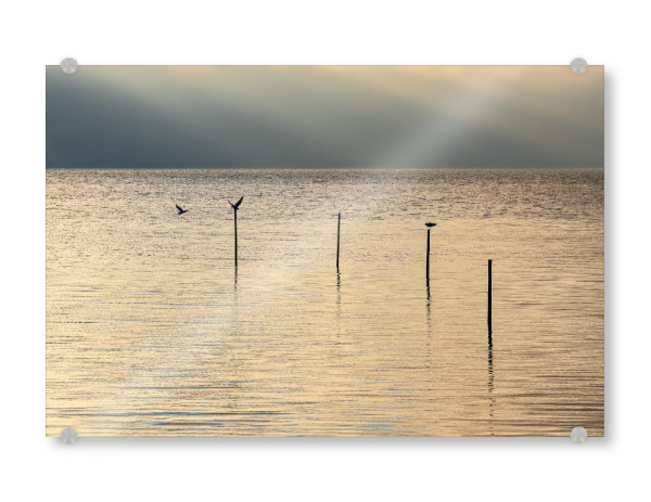 Acrylglasbild "Abends am Achterwasser" artboxONE - Natur,Reise