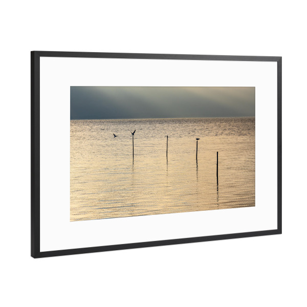 Poster mit Rahmen Schwarz (Metallic) "Abends am Achterwasser" artboxONE - Natur,Reise