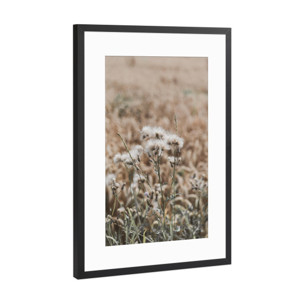 Poster mit Rahmen Schwarz (Metallic) "Feldpflanze Bohostyle" artboxONE - Natur,Floral