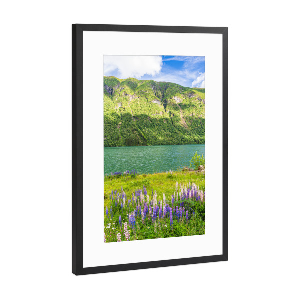 Poster mit Rahmen Schwarz (Metallic) "Blumen am Fjærlandfsjord" artboxONE - Natur,Reise,Reise / Strand und Meer,Reise / Länder