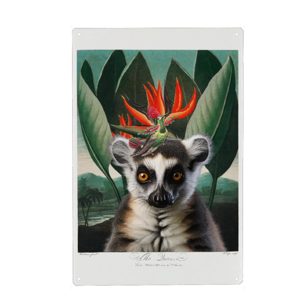 Metall Poster "Geheimnisvolle Schönheit" artboxONE - Natur,Floral,Tiere,Reise / Afrika,Reise / Asien