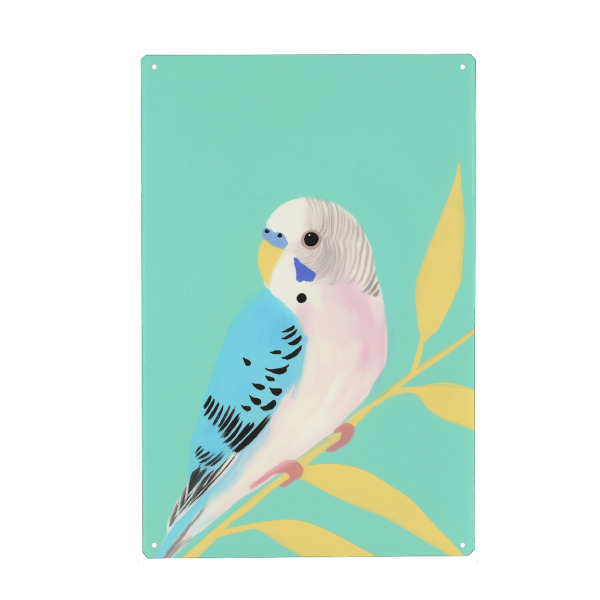 Metall Poster "Wellensittich Liebhaber" artboxONE - Natur,Tiere,Abstrakt