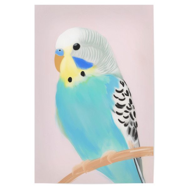 Poster "Sittich Schönheit" artboxONE - Natur,Tiere,Abstrakt